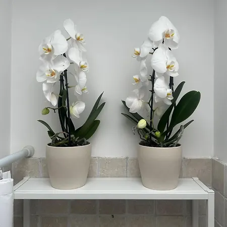 Hébergement de vacances Il Ciliegio - House With Garden & Wonderful View *