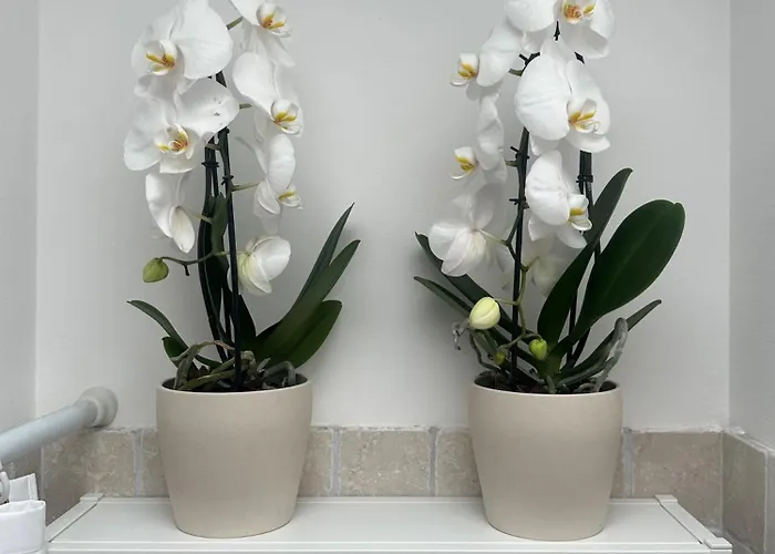 Casa vacanze Il Ciliegio - House With Garden & Wonderful View *